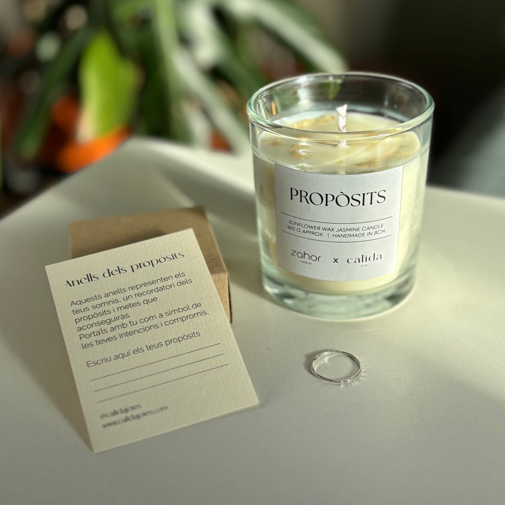 Vela de propósitos